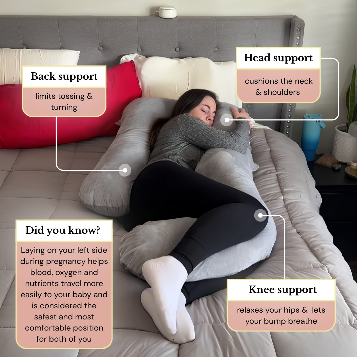 Bump, back & knee support zones